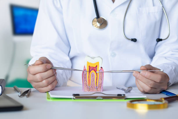 Best Emergency Cosmetic Dentistry in Monroe North, WA
